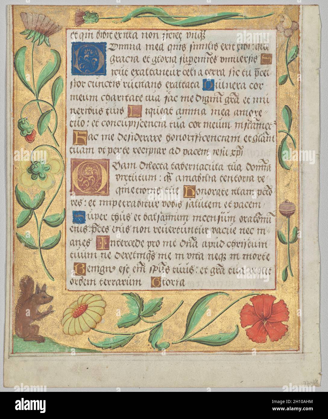 Feuille d'un Psautre et d'un Livre de prière : bordure ornementale avec fleurs et écureuil (verso), c.1524. Allemagne du Nord, Hildesheim (?), XVIe siècle.Encre, tempera et or liquide sur vélin; chaque feuille: 16.6 x 13.5 cm (6 9/16 x 5 5/16 po).Cette feuille et celle à proximité ont été excisées du même livre de prière.Ils révèlent les motifs séculiers préférés qui comprennent des décorations avec des animaux, des paysans, et des activités domestiques telles que la cuisine.Ici, une femme est présentée pour pétrir du pain.Un texte composite combinant les caractéristiques d'un psautre, une collection de psaumes ou de versets religieux, et un livre de prière, il a été utilisé pendant Banque D'Images