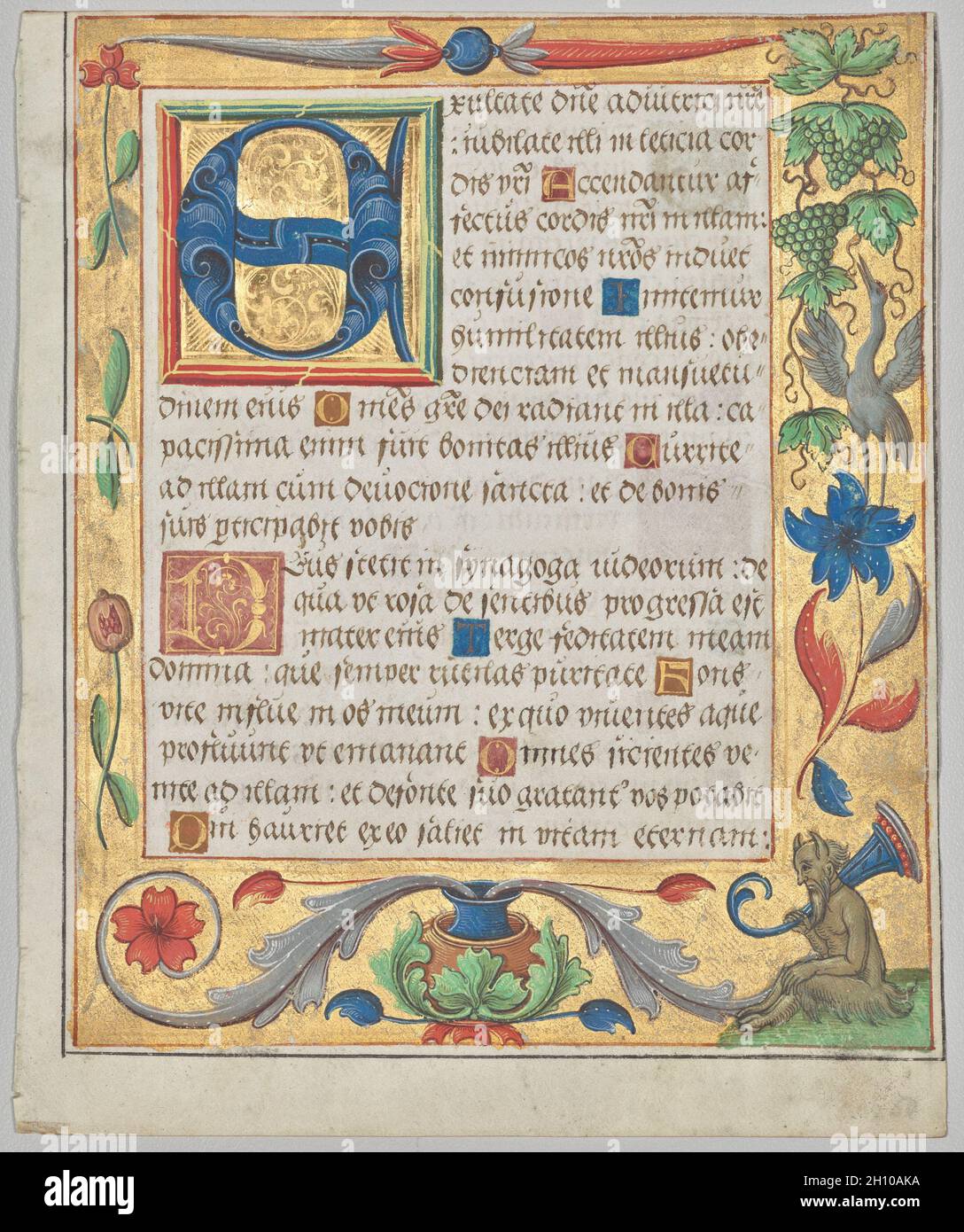 Feuille d'un Psautre et d'un PrayerBook: Initiale E avec une bordure ornementale contenant un Satyr assis et un raisin d'Eating d'oiseau (recto), c.1524. Allemagne du Nord, Hildesheim (?), XVIe siècle.Encre, tempera et or liquide sur vélin; chaque feuille: 16.6 x 13.5 cm (6 9/16 x 5 5/16 po).Cette feuille et celle à proximité ont été excisées du même livre de prière qui contenait des bordures ornementales sur presque chaque page.Ils représentent la décoration complexe trouvée dans tout le volume parent, ses feuilles maintenant dispersées.Presque chaque frontière, recto et verso, ou avant et arrière, était décorée d'or liquide et de highli Banque D'Images