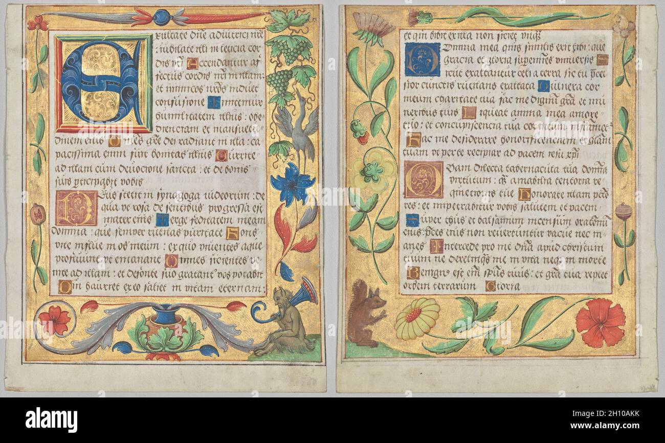 Feuille d'un Psautre et d'un PrayerBook : initiale E avec une bordure ornementale contenant un Satyr assis et un raisin mangeant les oiseaux (recto) et une bordure ornementale avec des fleurs et de l'écureuil (verso) (2 des 3 feuilles excisées), c.1524. Allemagne du Nord, Hildesheim (?), XVIe siècle.Encre, tempera et or liquide sur vélin; chaque feuille: 16.6 x 13.5 cm (6 9/16 x 5 5/16 po).Cette feuille révèle le charme de la décoration séculaire comme les satyres ou les activités domestiques comme la cuisine.De tels détails auraient été un délice somptueux pour le propriétaire original.Le livre original était un volume très personnalisé apparemment écrit et Banque D'Images