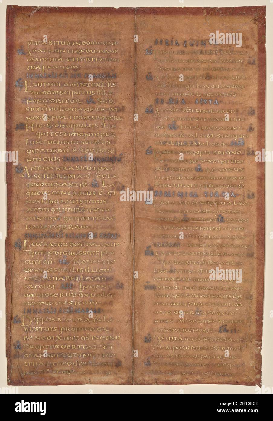 Bifolium excisé d'un carolingien graduel (recto), c.830-860.Allemagne ou Nord-est de la France, 9ème siècle.Encre or et argent sur parchemin violet; feuille: 29 x 10 cm (11 7/16 x 3 15/16 po.); encadrée: 39.4 x 52.1 x 3.2 cm (15 1/2 x 20 1/2 x 1 1/4 po.).Cette feuille rare vient d'un cantatorium ou graduel, un livre contenant les chants à chanter pendant la messe. D'autres feuilles du même livre survivent à Berlin et Trèves.Un bifolium, ou double feuille, il ne contient pas de lettres décorées mais plutôt des lettres "soulignées".Ils ont été agrandis et poussés dans les marges pour attirer l'attention sur le Banque D'Images