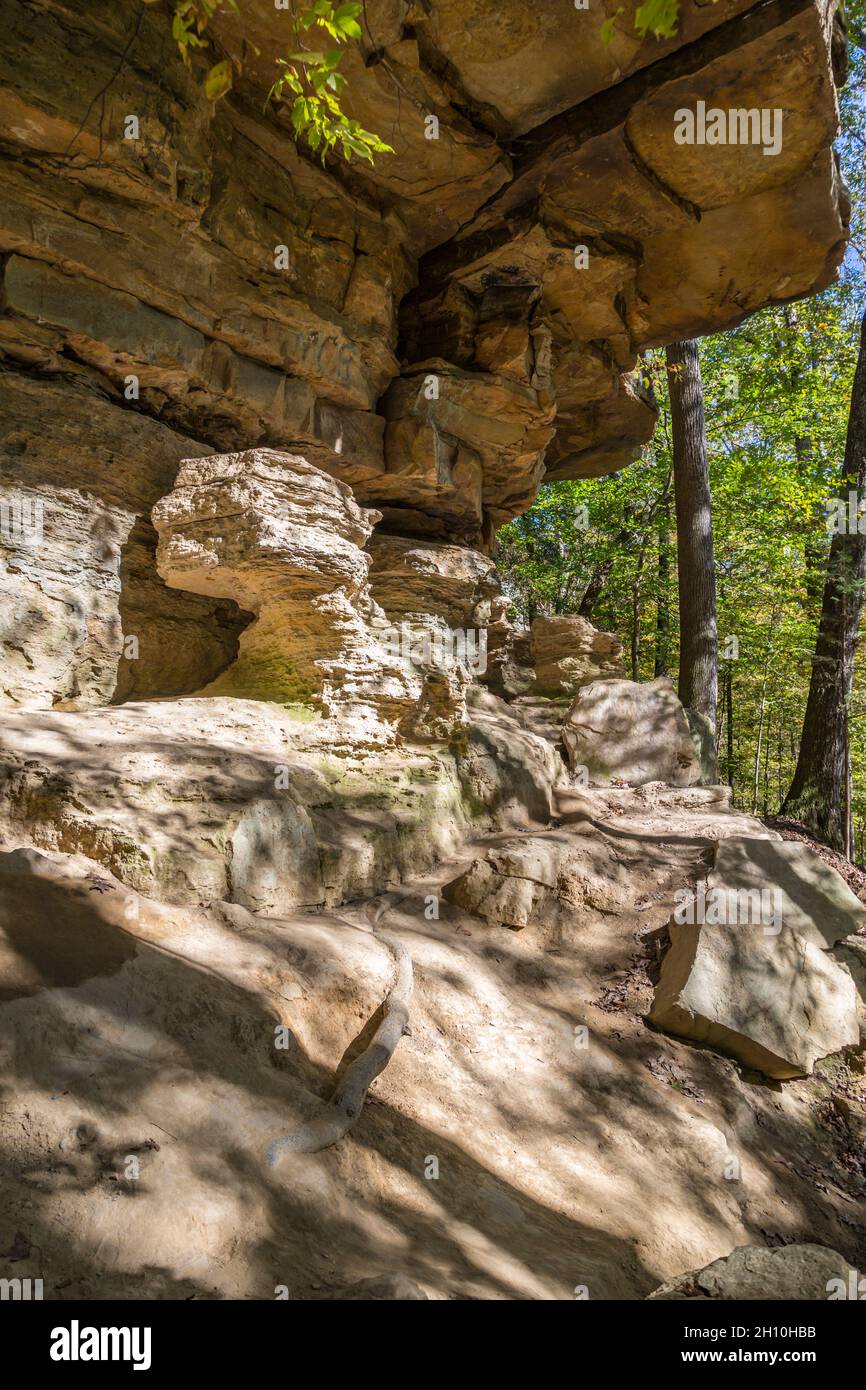 Découverte de rochers le long d'un sentier de randonnée dans le parc national de Tishomingo, dans le nord-est du Mississippi Banque D'Images
