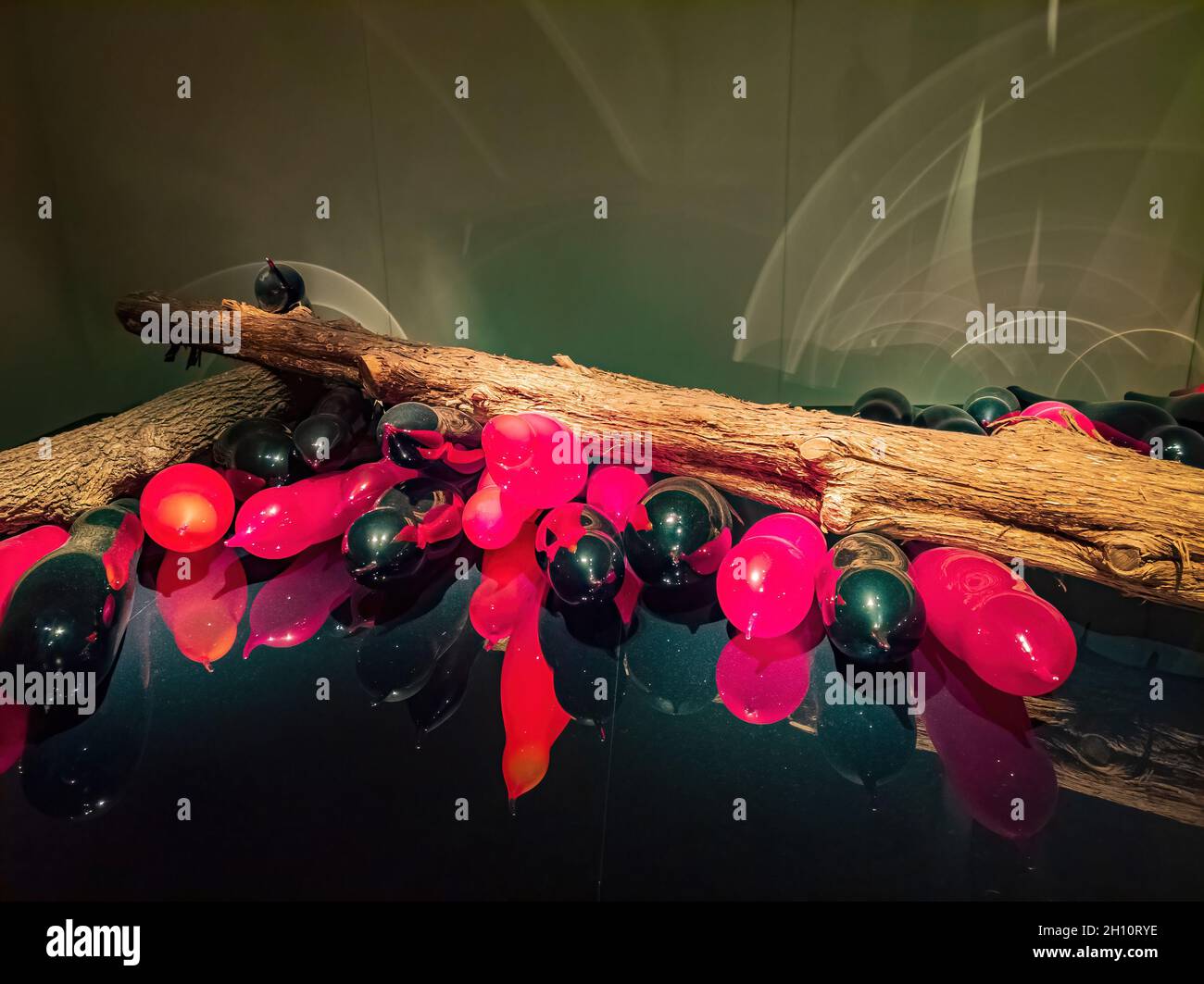 Oklahoma, 2 octobre 2021 - Dale Chihuly, The Collection exposition au musée d'art d'Oklahoma City Banque D'Images