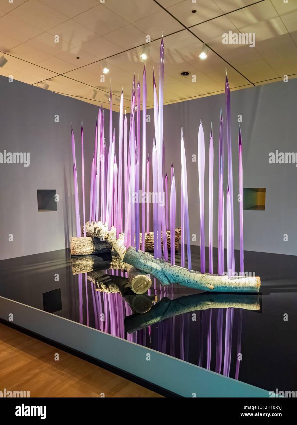 Oklahoma, 2 octobre 2021 - Dale Chihuly, The Collection exposition au musée d'art d'Oklahoma City Banque D'Images