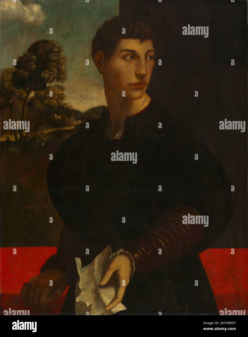 Portrait d'un jeune homme, c. 1530. Disciple de Dosso Dossi (Italien), ch. 1490-après 1541). Le pétrole et l'or sur bois ; pans : 128,2 x 102,2 x 11,5 cm (50 1/2 x 40 1/4 x 4 1/2 in.) ; non encadrée : 97,2 x 77,5 cm (38 1/4 x 30 1/2 in.). Banque D'Images