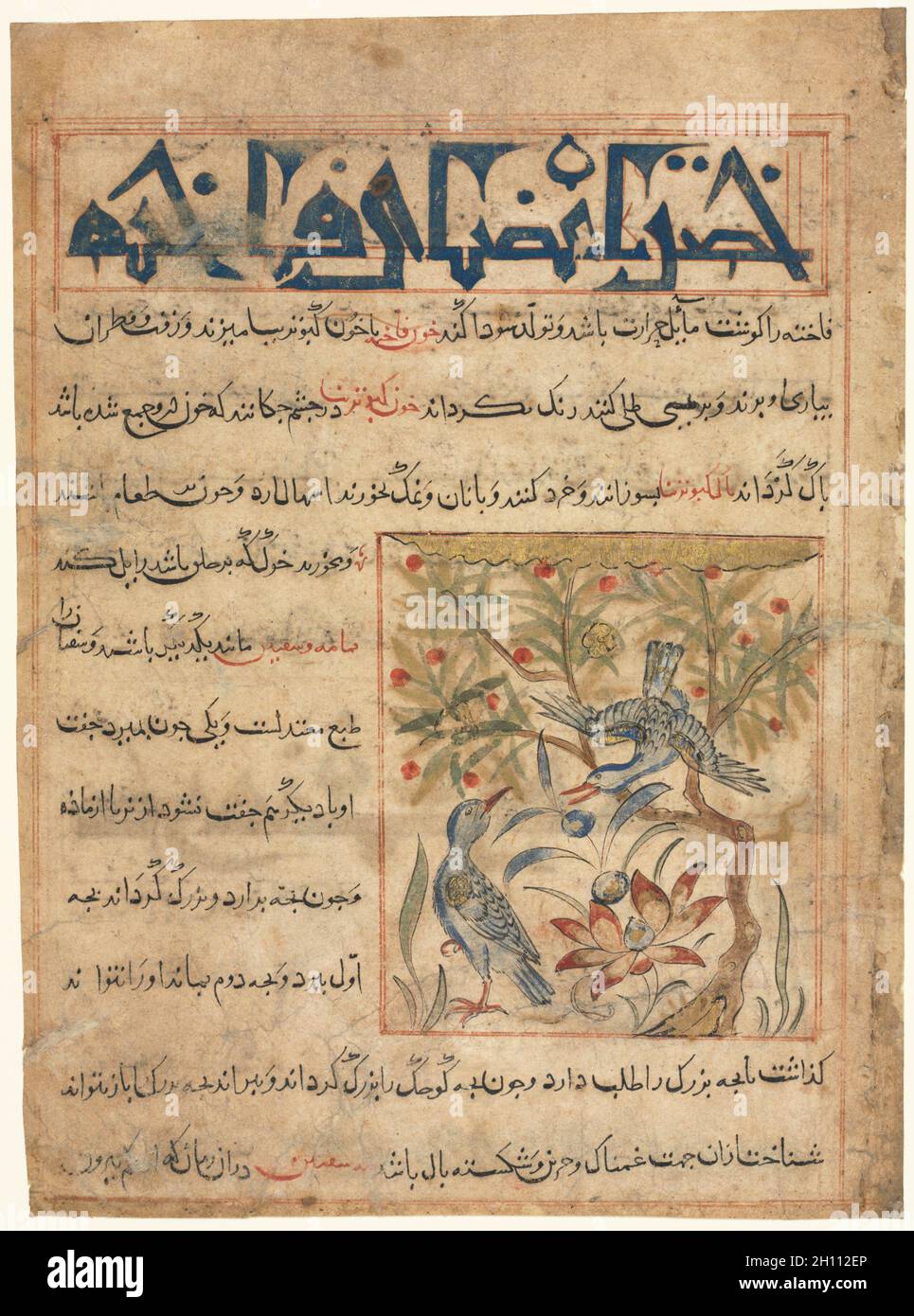 Folio d'un Manafi' al-Hayawan (les avantages des animaux) persan d'Abu Said Ubaid-Allah ibn Jibrail ibn Bakhtishu (mort 1058-68) (recto), c.1300. Iran, Maragah, période Ilkhanid (1256-1353).Aquarelle, encre et or opaques sur papier; image : 10.2 x 9 cm (4 x 3 9/16 po.); hors tout : 24.7 x 18.2 cm (9 3/4 x 7 3/16 po.); zone de texte : 22.2 x 16.5 cm (8 3/4 x 6 1/2 po.). Banque D'Images