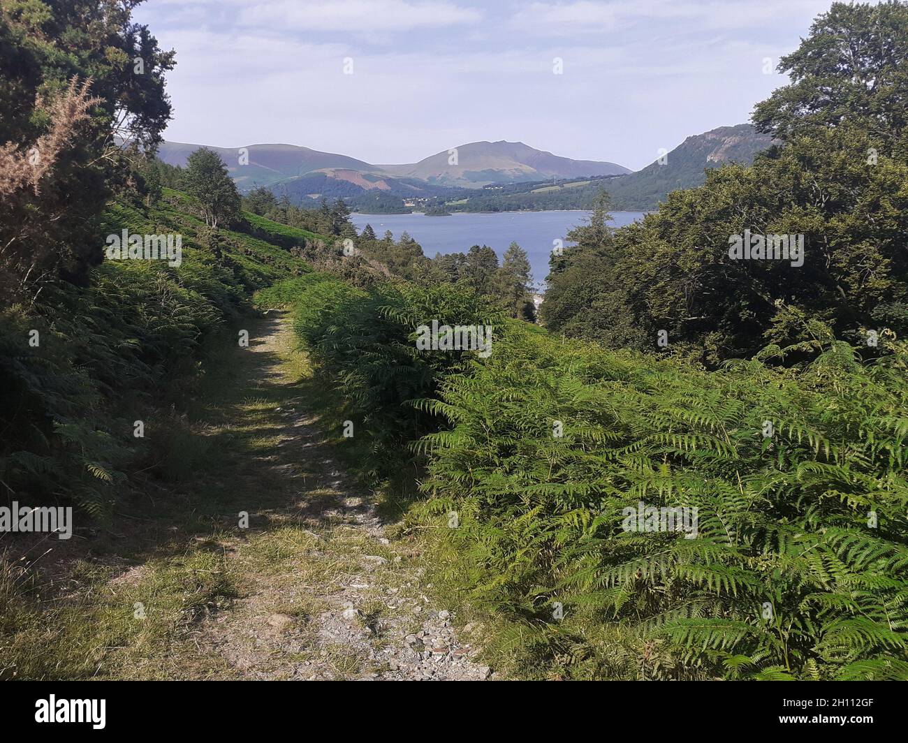 A Track through bracken vers Derwentwater, avec Blencathra au loin, Lake District National Park, Cumbria, Angleterre, Royaume-Uni Banque D'Images