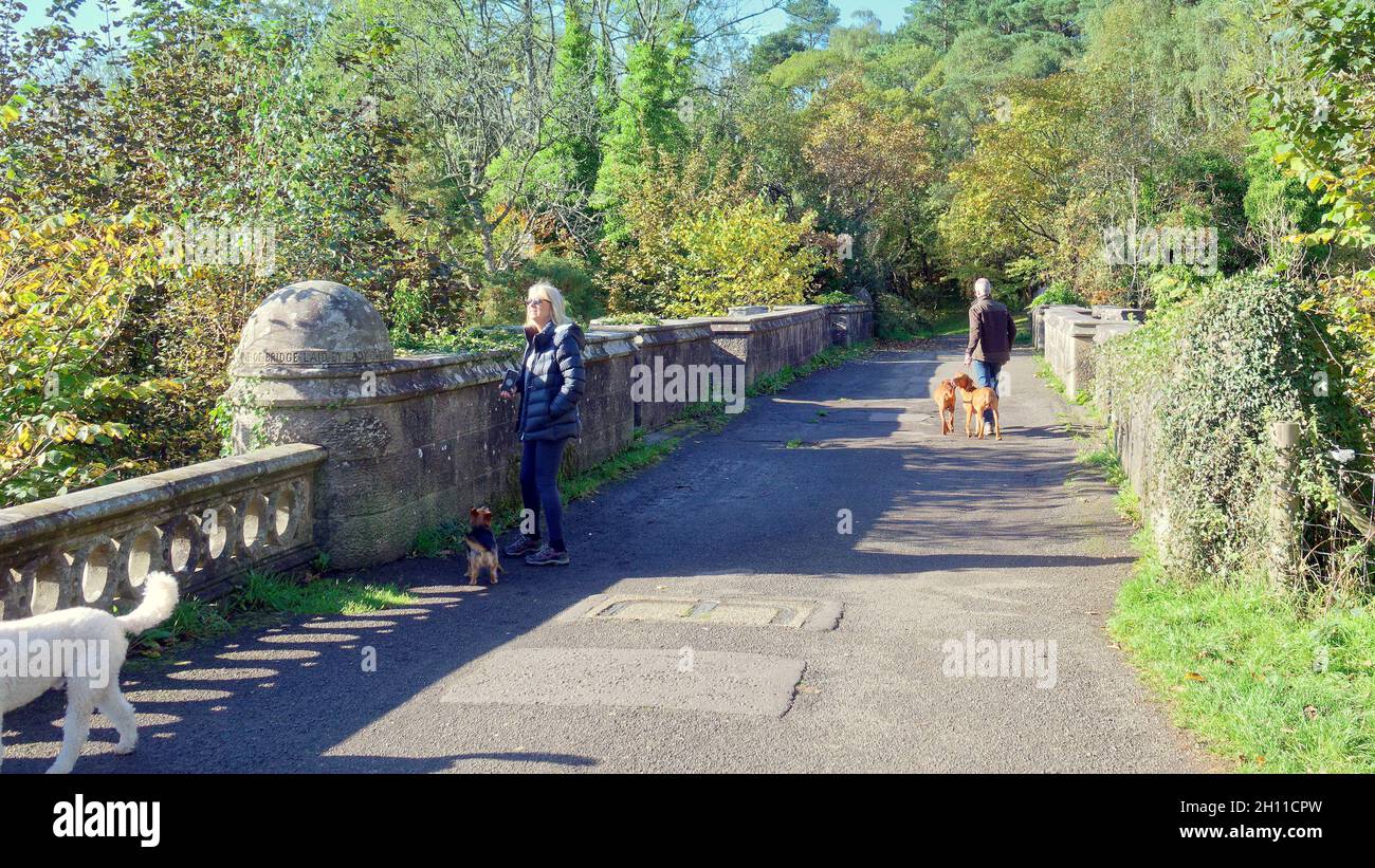 Milton, Glasgow, Royaume-Uni.15 octobre 2021.Météo au Royaume-Uni : ensoleillé au pont pour chiens morts, tandis que les habitants et les touristes marchaient leurs chiens dans les jardins de la maison de maître, en maintenant une laisse dans le célèbre piège de la mort canine.Avec le fantôme de la dame overtoun et la maison effrayante, elle prend son nom du pont adjacent a coûté la vie à de nombreux chiens comme le saut sur le pont vers le ravin en dessous.À la veille d’Halloween, les histoires horribles de son vibe paranormal se mélangent à l’infanticide, mais la purge pour animaux de compagnie porte son nom.»Crédit : Gerard Ferry/Alay Live News Banque D'Images