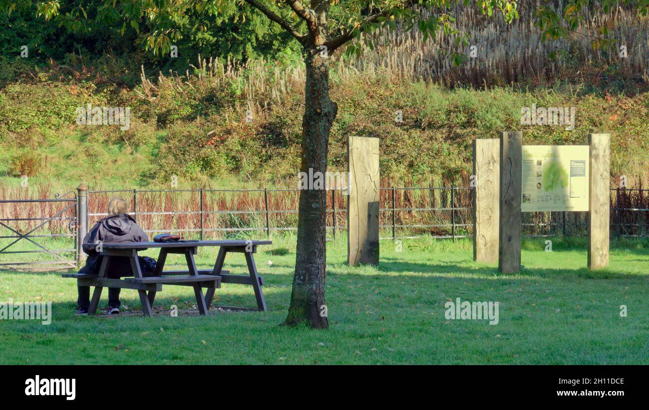 Milton, Glasgow, Royaume-Uni.15 octobre 2021.Météo au Royaume-Uni : ensoleillé au pont pour chiens morts, tandis que les habitants et les touristes marchaient leurs chiens dans les jardins de la maison de maître, en maintenant une laisse dans le célèbre piège de la mort canine.Avec le fantôme de la dame overtoun et la maison effrayante, elle prend son nom du pont adjacent a coûté la vie à de nombreux chiens comme le saut sur le pont vers le ravin en dessous.À la veille d’Halloween, les histoires horribles de son vibe paranormal se mélangent à l’infanticide, mais la purge pour animaux de compagnie porte son nom.»Crédit : Gerard Ferry/Alay Live News Banque D'Images