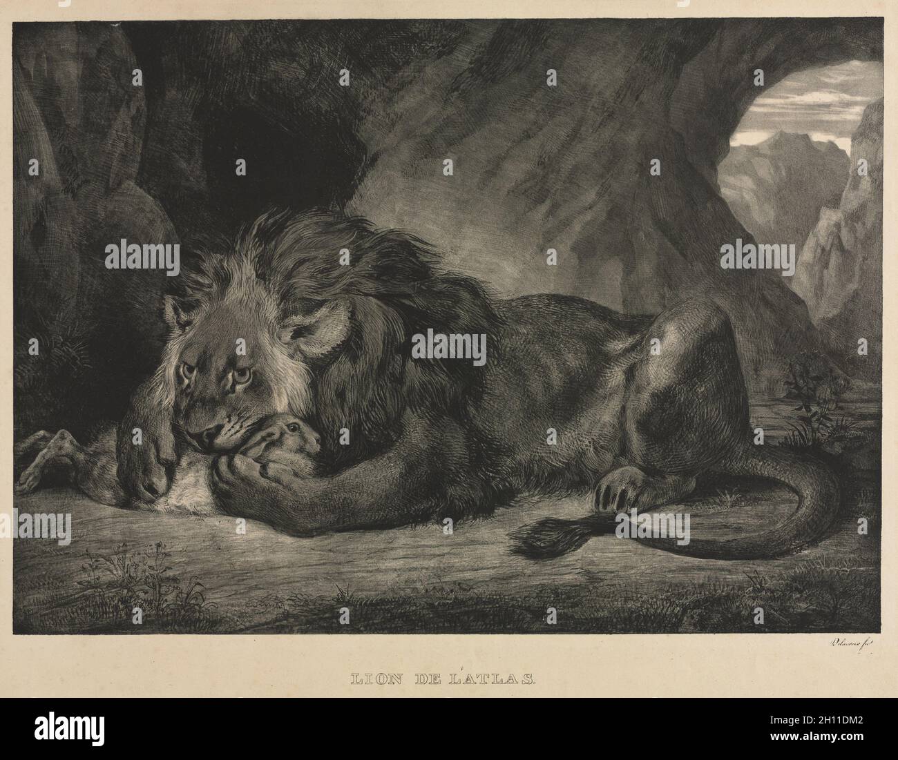 Lion des montagnes de l'Atlas, 1829.Eugène Delacroix (français, 1798-1863).Lithographie; Banque D'Images