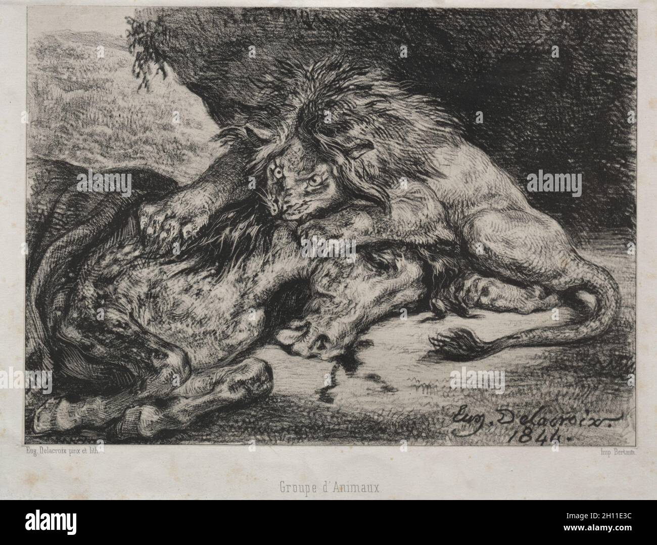 Lion dévorant un cheval, 1844. Eugène Delacroix (1798-1863), française, Bertauts. Fiche technique : Lithographie ; 22 x 26,1 cm (8 11/16 x 10 1/4 in.) ; Image : 17 x 23,6 cm (6 11/16 x 9 5/16 in.). Banque D'Images