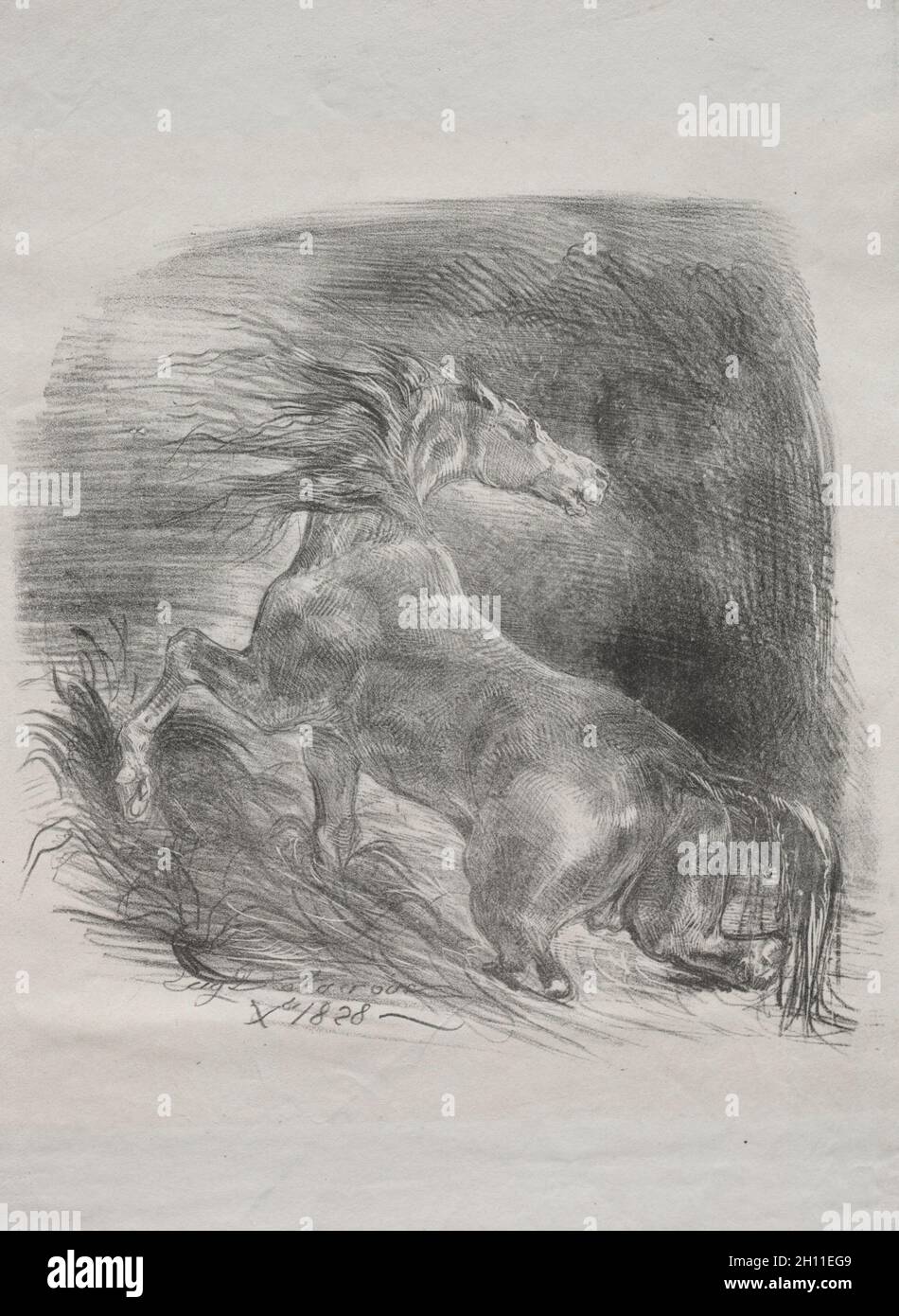 Le cheval sauvage, ou le cheval effrayé quittant l'eau, 1828.Eugène Delacroix (français, 1798-1863).Lithographie; feuille: 34.3 x 27.1 cm (13 1/2 x 10 11/16 po.); image: 23.5 x 24 cm (9 1/4 x 9 7/16 po.). Banque D'Images