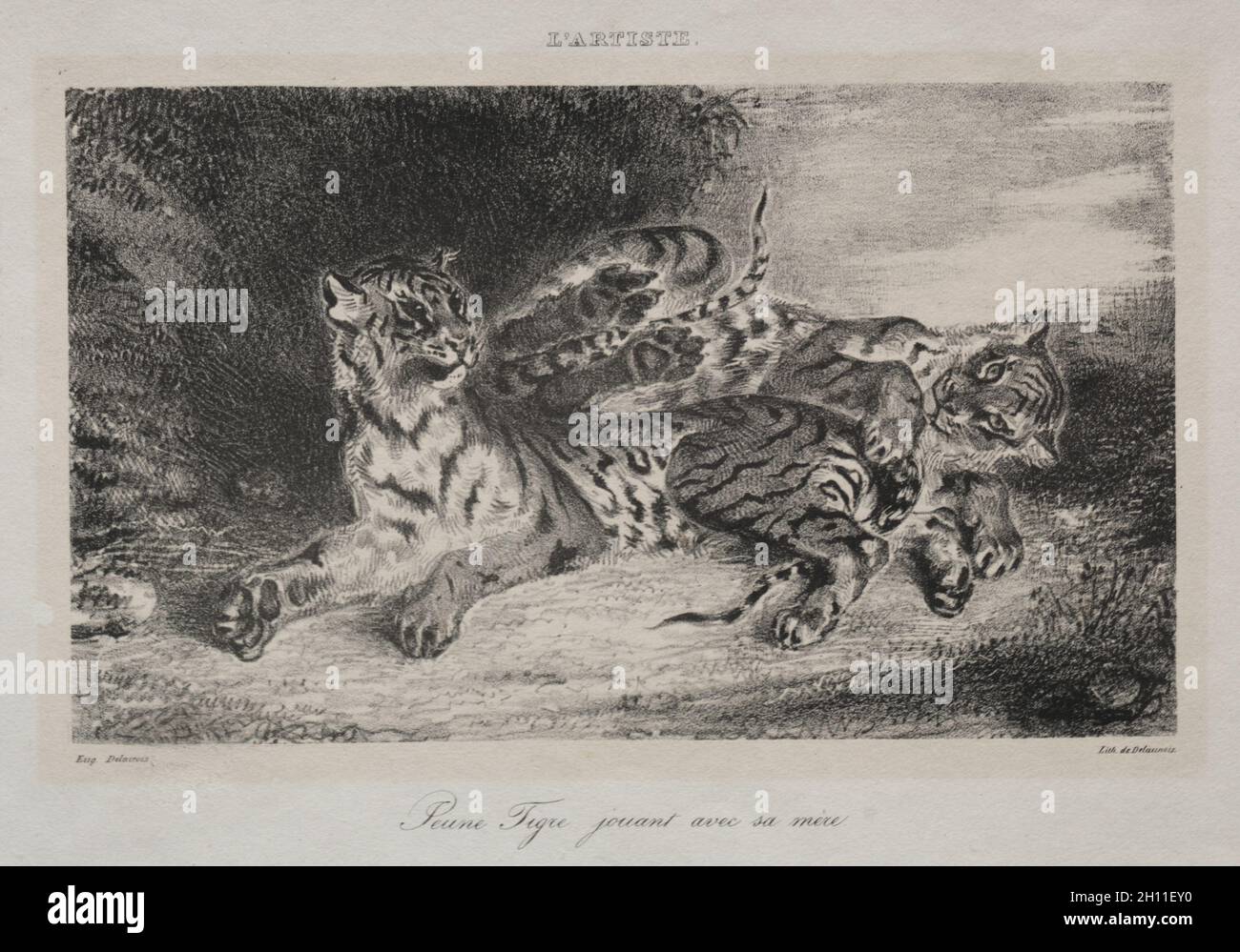Jeune tigre jouant avec sa mère, 1831.Eugène Delacroix (français, 1798-1863).Lithographie; feuille: 20.4 x 26.7 cm (8 1/16 x 10 1/2 po.); image: 11.2 x 18.9 cm (4 7/16 x 7 7/16 po.). Banque D'Images