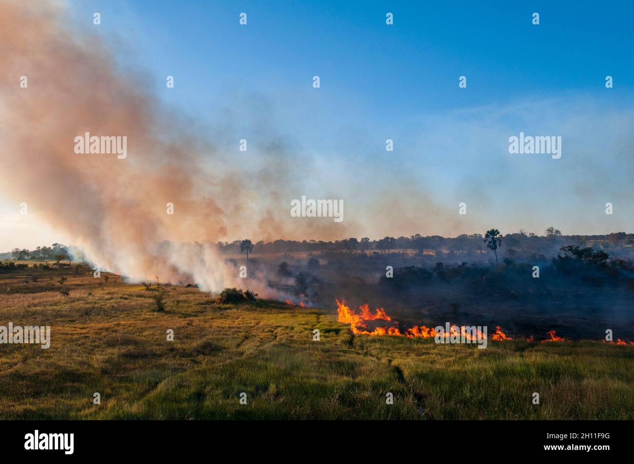 Vue aérienne d'un feu de brousse dans le delta d'Okavango.Delta d'Okavango, Botswana. Banque D'Images