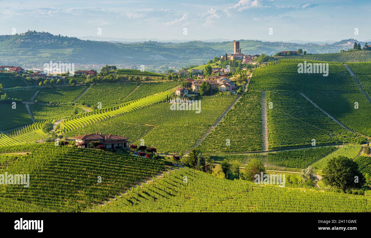 Belles collines et vignobles entourant le village de Barbaresco dans la région de Langhe.Cuneo, Piémont, Italie. Banque D'Images