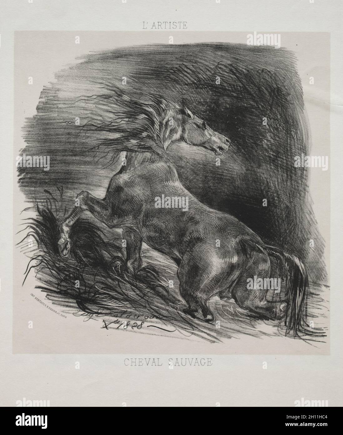 Le cheval sauvage, ou le cheval effrayé quittant l'eau, 1828.Eugène Delacroix (français, 1798-1863), l'artiste.Lithographie aux teintes beige; feuille: 36.1 x 27.4 cm (14 3/16 x 10 13/16 po.); image: 23 x 23.9 cm (9 1/16 x 9 7/16 po.). Banque D'Images