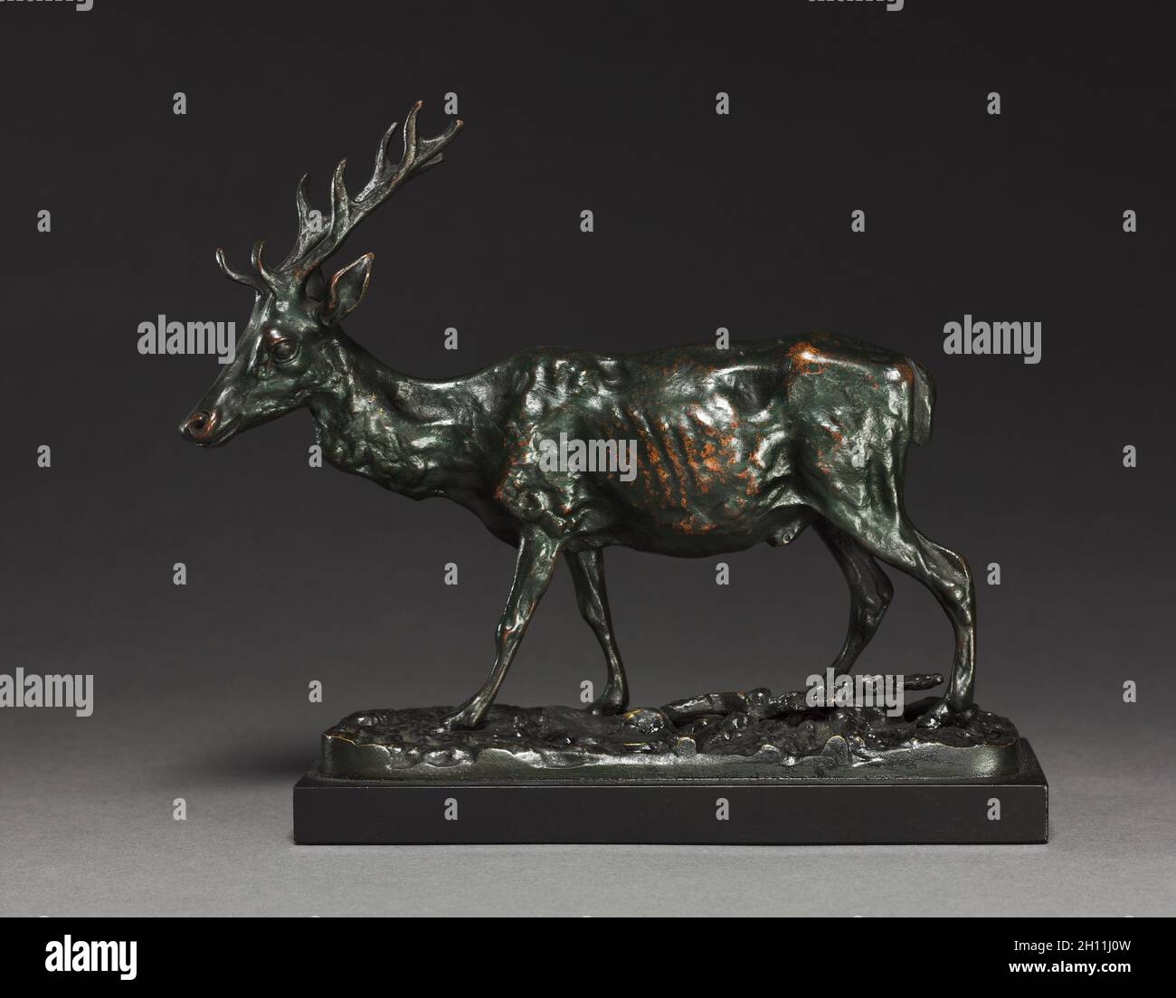 Le cerf, après 1830. Imitateur d'Antoine-Louis Barye (Français, 1796-1875). Bronze ; total : 15,7 x 7 cm (6 3/16 x 2 3/4 in.). Banque D'Images