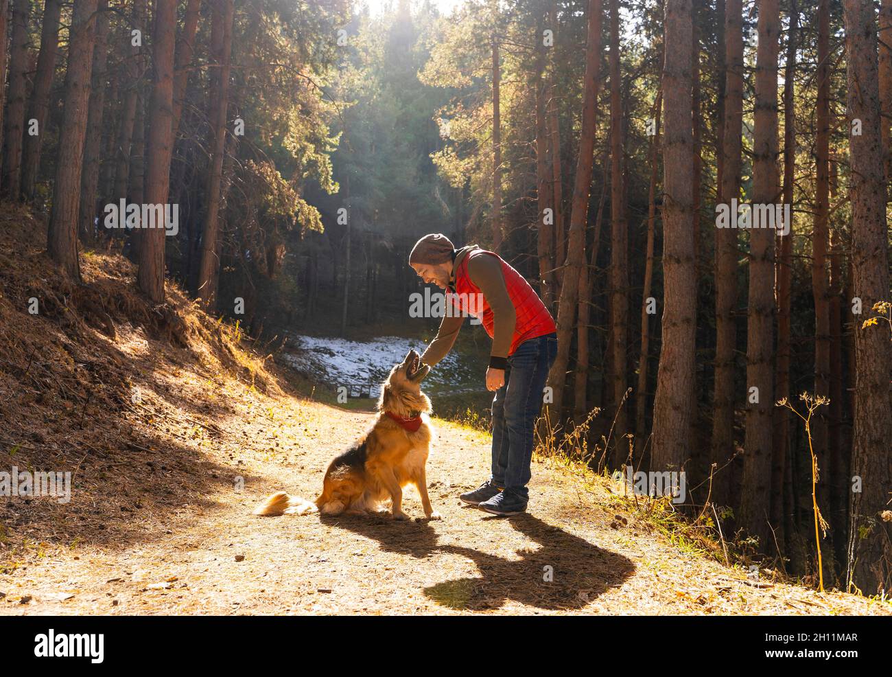 Homme jouant avec un chien dans une forêt éclairée par la lumière du soleil.Saison d'automne. Banque D'Images