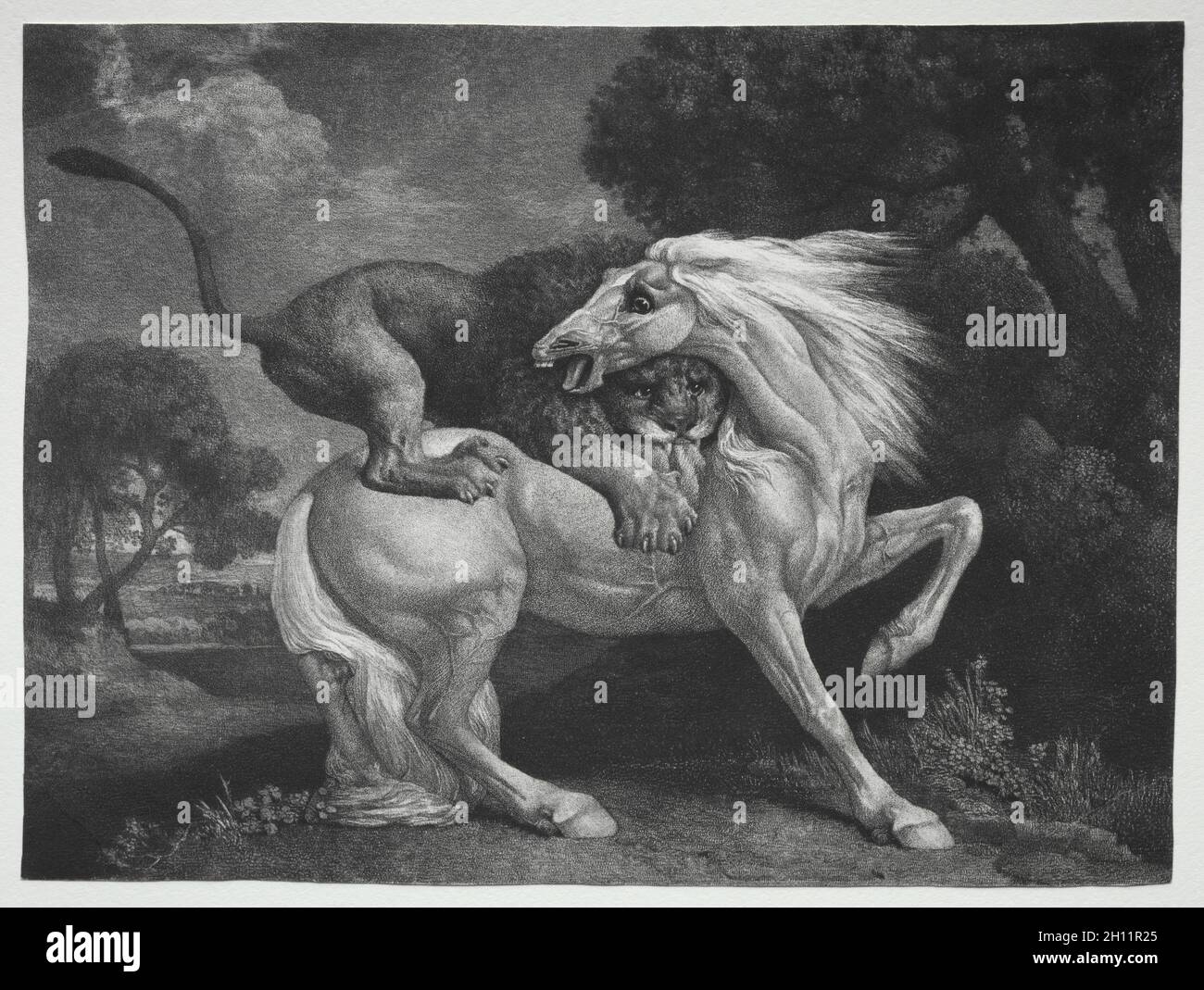 Un cheval attaqué par un Lion, 1788.George Stubbs (Grande-Bretagne, 1724-1806).Gravure et gravure; Banque D'Images