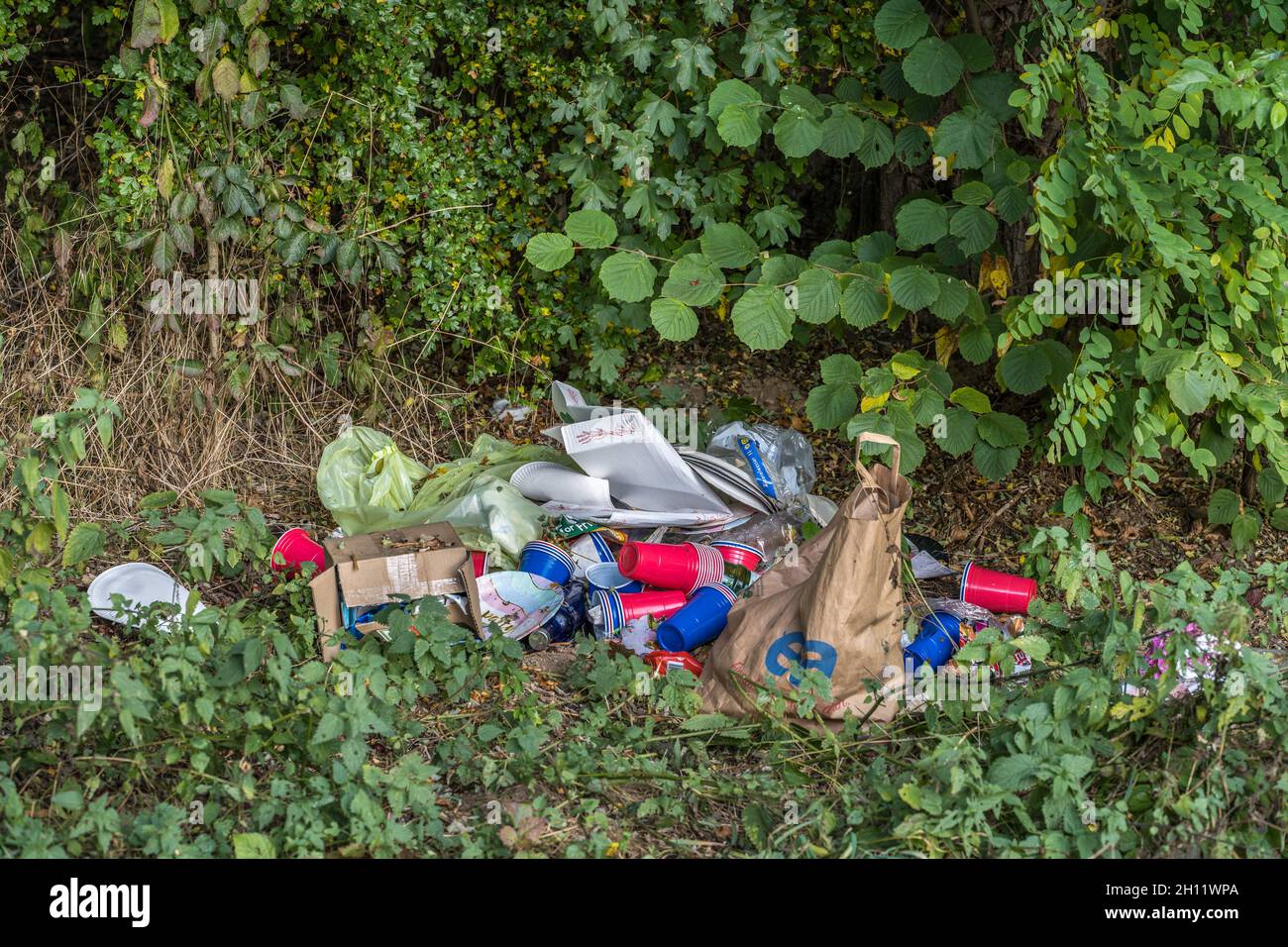 Rencontrez le cochon de l'environnement, l'indignation de l'environnement, le gaspillage dans la nature, la litière, le comportement irresponsable,Pollution, homme et nature, vert. Criminalité Banque D'Images