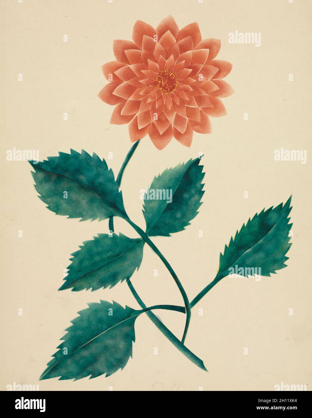 Dahlia, années 1800.Mary Altha Nims (américaine, 1817-1907).Aquarelle; Banque D'Images