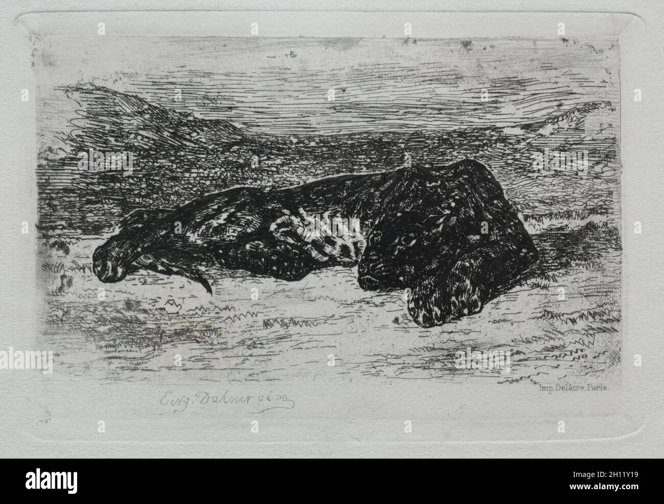 Le tigre de brouille dans le désert, 1846.Eugène Delacroix (français, 1798-1863).Gravure ; Banque D'Images