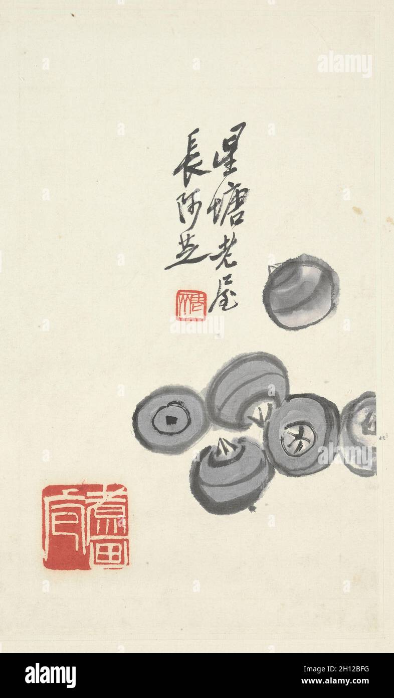 Châtaignes d'eau, première moitié des années 1900.Qi Baishi (chinois, 1864-1957).Feuille d'album, encre et couleur sur papier; peinture: 29 x 18.5 cm (11 7/16 x 7 5/16 po.); hors tout: 42.7 x 54 cm (16 13/16 x 21 1/4 po.). Banque D'Images