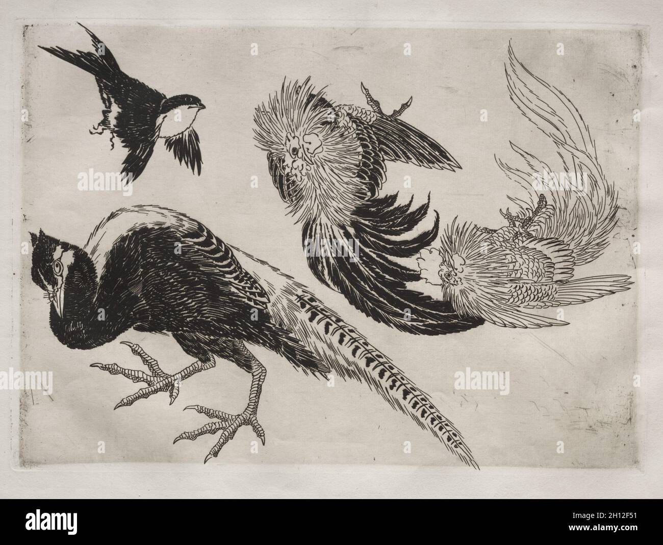 Un service de repas (Rousseau) service : faisans et oiseaux (no. 18), 1866. Félix Bracquemond (Français, 1833-1914). Fiche technique : eau-forte, 35,5 x 48,9 cm (14 x 19 1/4 in.) ; 24,6 x 34,5 : platemark cm (9 11/16 x 13 9/16 in.). Banque D'Images