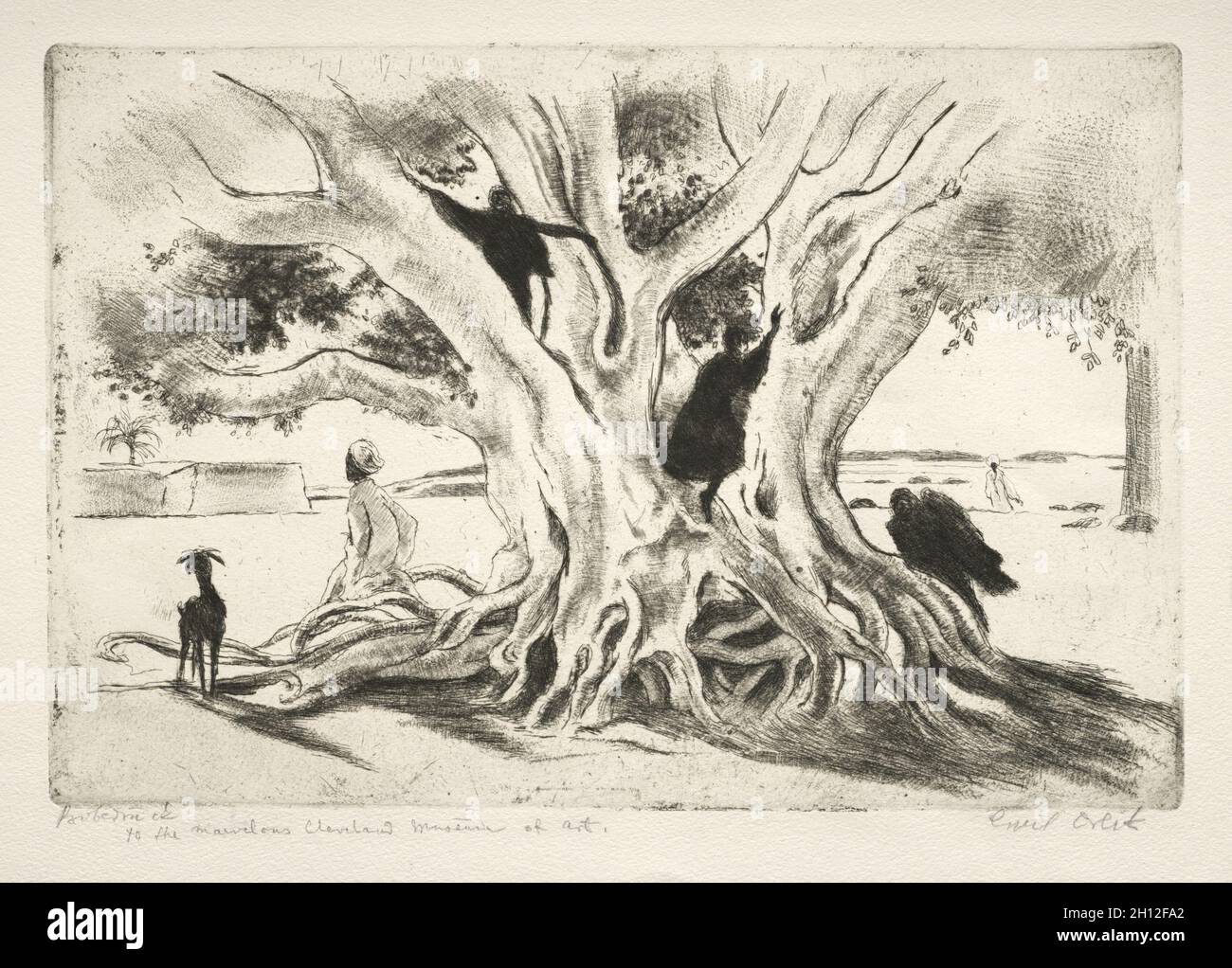 L'ancien arbre Sycamore en Arabie.Emil Orlik (tchèque, 1870-1932).Gravure et roulette; Banque D'Images