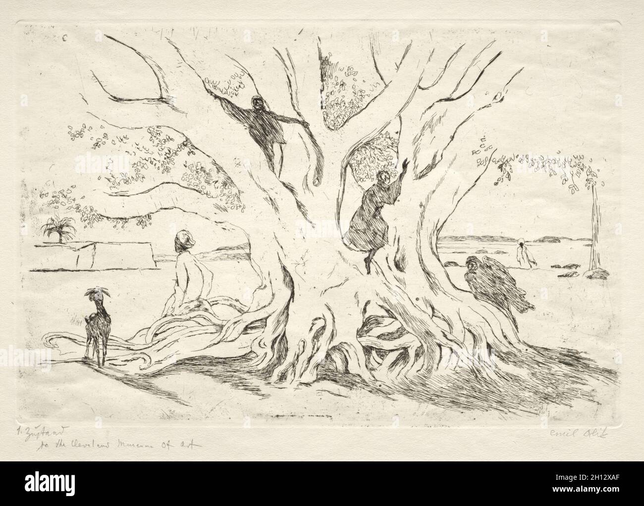 L'ancien arbre de Sycamore en Arabie, avant 1924.Emil Orlik (tchèque, 1870-1932).Gravure et roulette; platemark: 20 x 30.7 cm (7 7/8 x 12 1/16 in.); feuille: 28.7 x 39.2 cm (11 5/16 x 15 7/16 in.). Banque D'Images