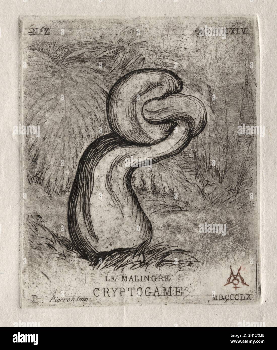 Le Cryptogam malade, 1860.Charles Meryon (français, 1821-1868).Gravure ; Banque D'Images