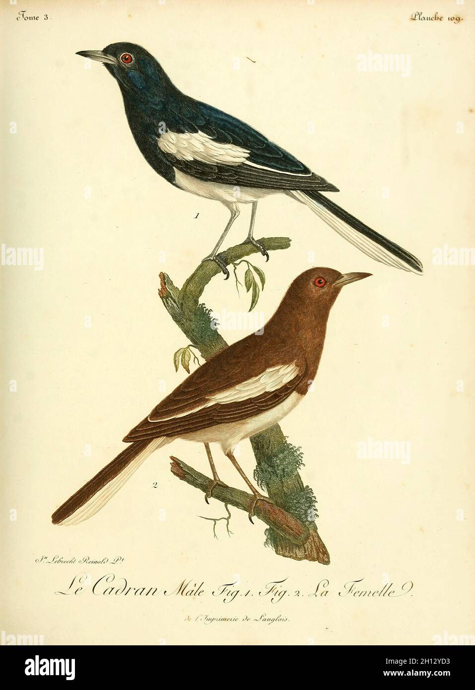 Cadran, illustration du XVIIIe siècle Banque D'Images