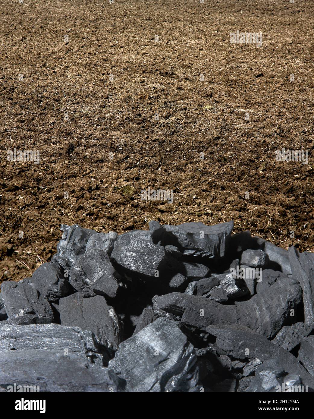 Biochar amélioration de la qualité du sol, image conceptuelle Banque D'Images Biochar amélioration de la qualité du sol, image conceptuelle Banque D'Images