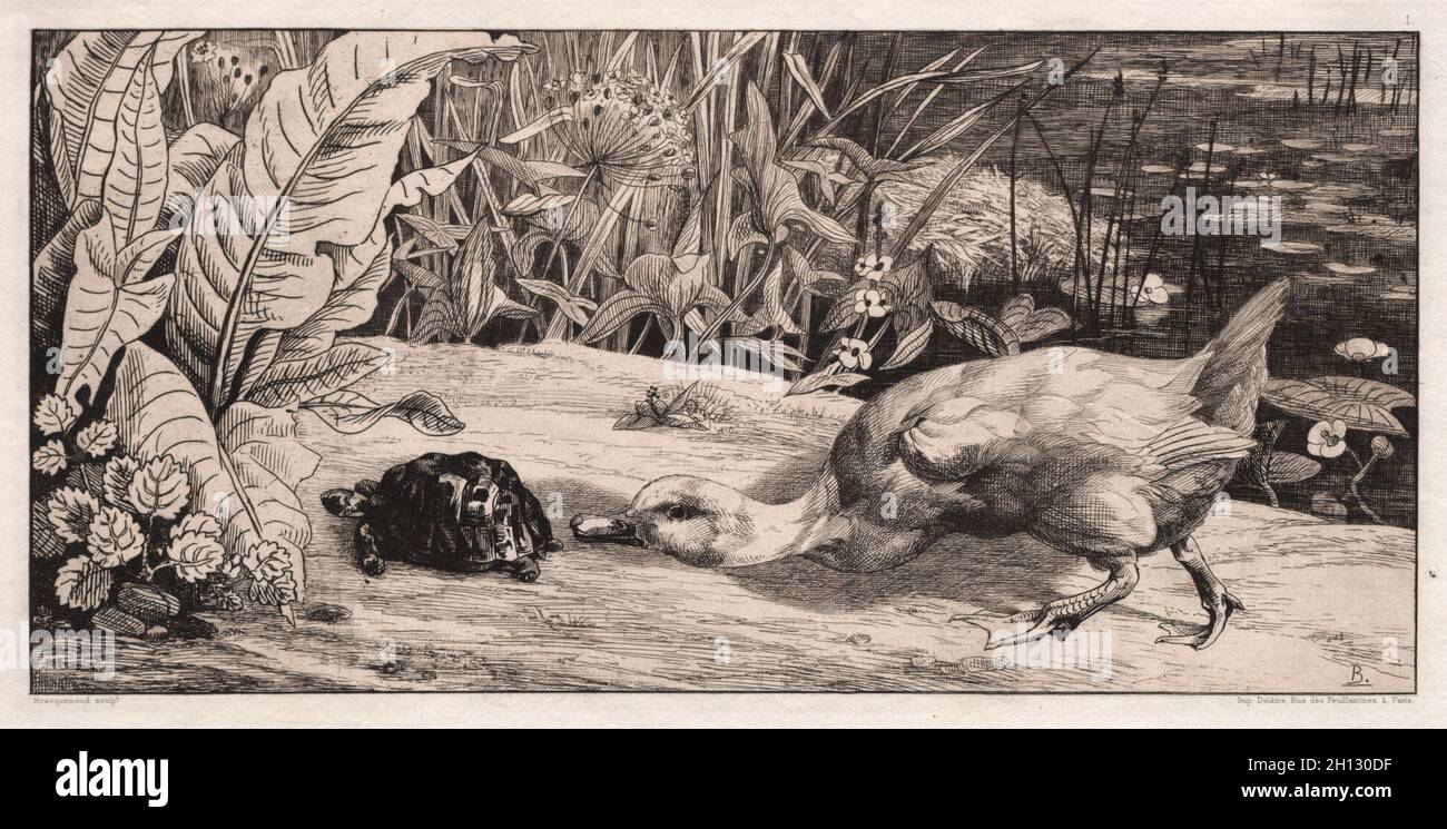 L'Inconnu, 1862. Félix Bracquemond (Français, 1833-1914), A. Cadart & F. Chevalier, rue Richelieu, 66, Paris. Pointe sèche ; feuille : 19 x 32,7 cm (7 1/2 x 12 7/8 in.) ; platemark : 18,9 x 32,4 cm (7 7/16 x 12 3/4 in.). Banque D'Images