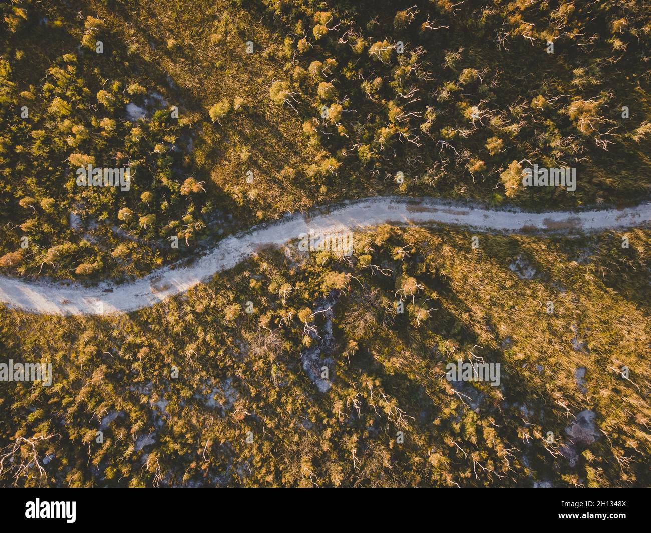 Chemin de promenade Florence Head Lookout Banque D'Images