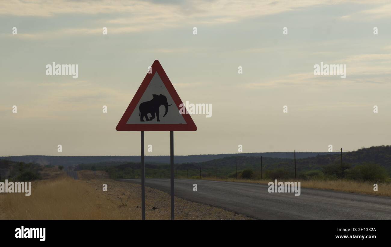Elephan croisement panneau près de la route dans le dessert de la Namibie Banque D'Images