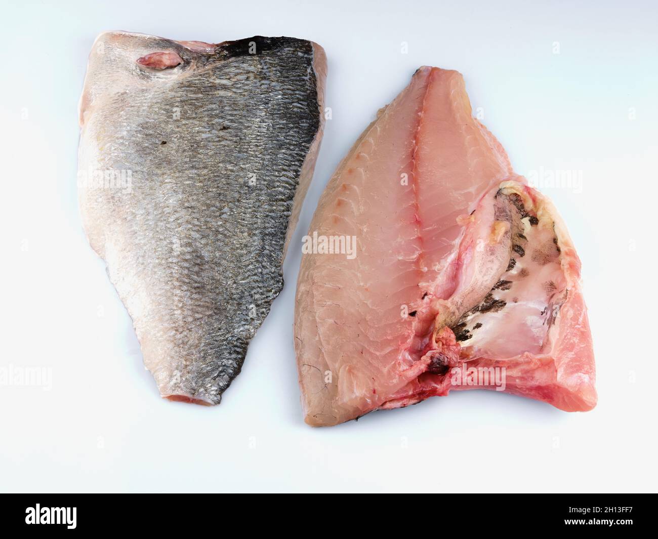 Filet de daurade sur fond blanc.Poisson.Tête dorée. Banque D'Images