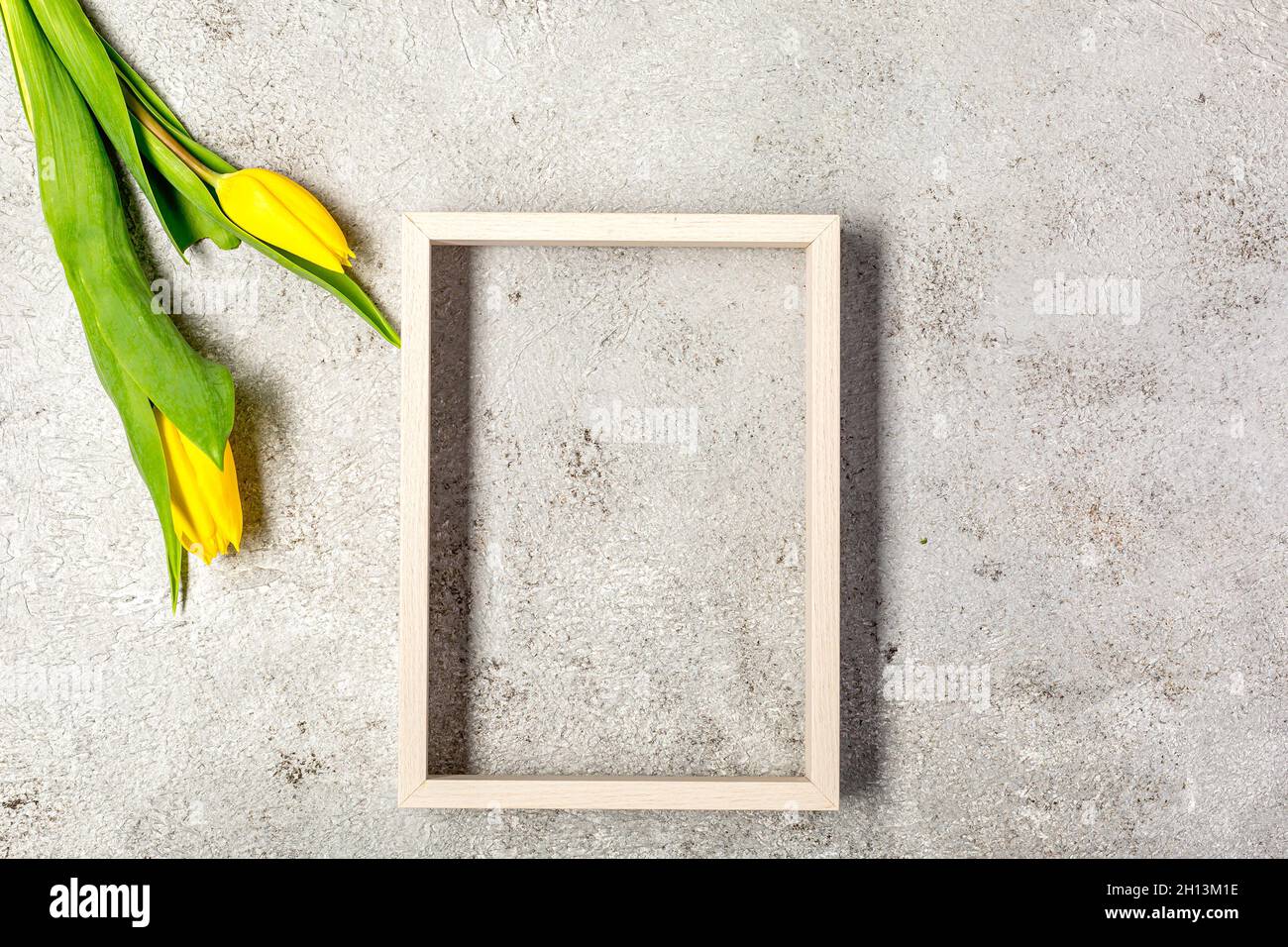 Fleurs de tulipe jaunes fraîches sur le mur gris ultime Banque D'Images