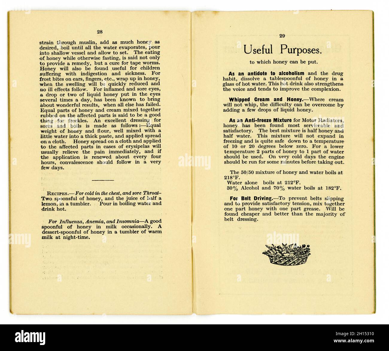 Page intérieure intitulée usage utile (du miel) et un panier de fruits ou légumes design pied note plaque - d'un original des années 1920 livre sain de la Santé de la bibliothèque alimentaire (no.12),Par le célèbre écrivain de l'époque et propriétaire du premier magasin d'aliments santé - James Henry Cook - celui-ci dans la série est intitulé « Honey and the Bee » comprend des recettes utilisant le miel, publié à Birmingham, Angleterre, Royaume-Uni en 1927 Banque D'Images