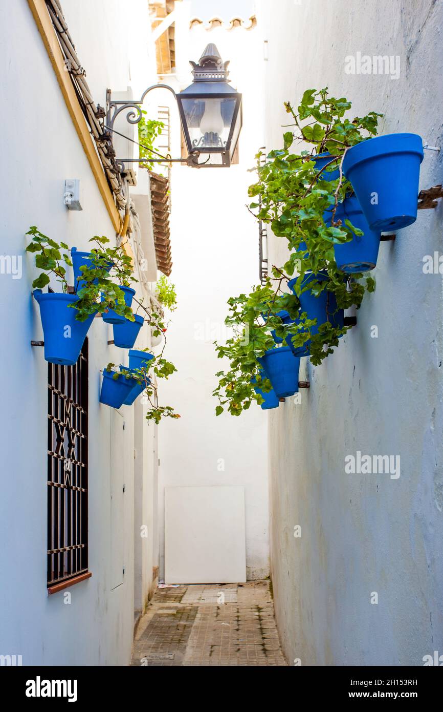 Allée dans la vieille ville de Cordoue décorée avec des pots de fleurs, Espagne.DOF peu profond ! Banque D'Images