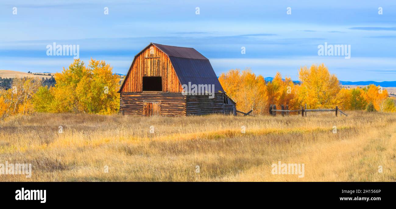 panorama d'une ancienne grange en automne à jens, montana Banque D'Images