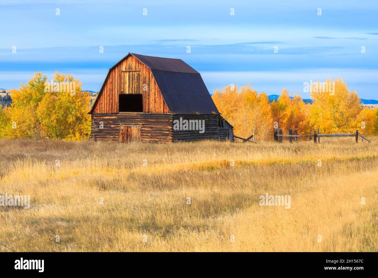 ancienne grange en automne à jens, montana Banque D'Images