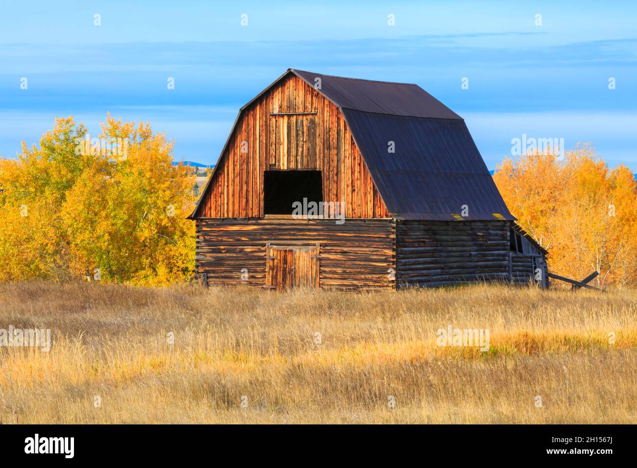 ancienne grange en automne à jens, montana Banque D'Images