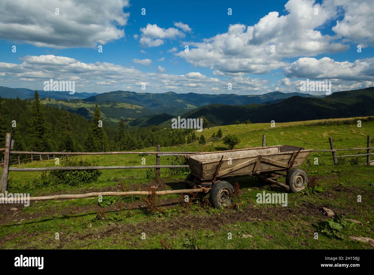 Chariot à quatre roues en bois, Carpathian Mountains, Ukraine Banque D'Images