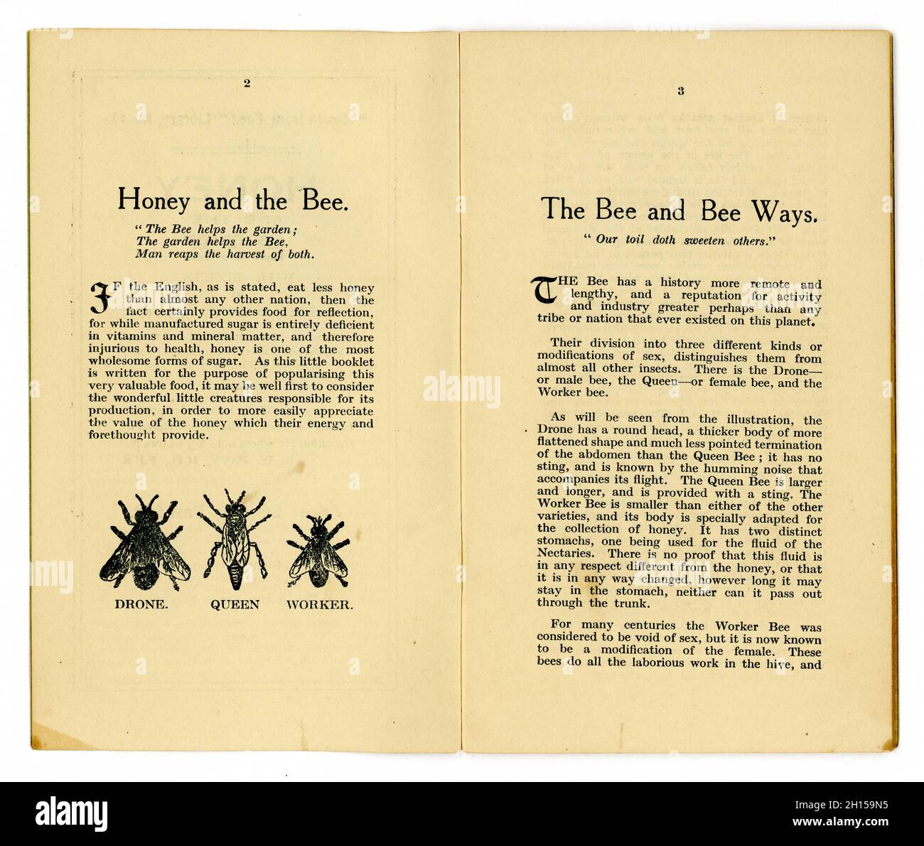 Page intérieure de la page originale des années 1920's Healthy manger livret de la Santé de la bibliothèque alimentaire (no.12), par le célèbre auteur de la santé alimentaire de l'époque et propriétaire du premier magasin d'aliments de santé - James Henry Cook - celui-ci dans la série intitulé « miel et l'abeille » comprend des recettes avec le miel,Publié à Birmingham, Angleterre, Royaume-Uni en 1927 Banque D'Images