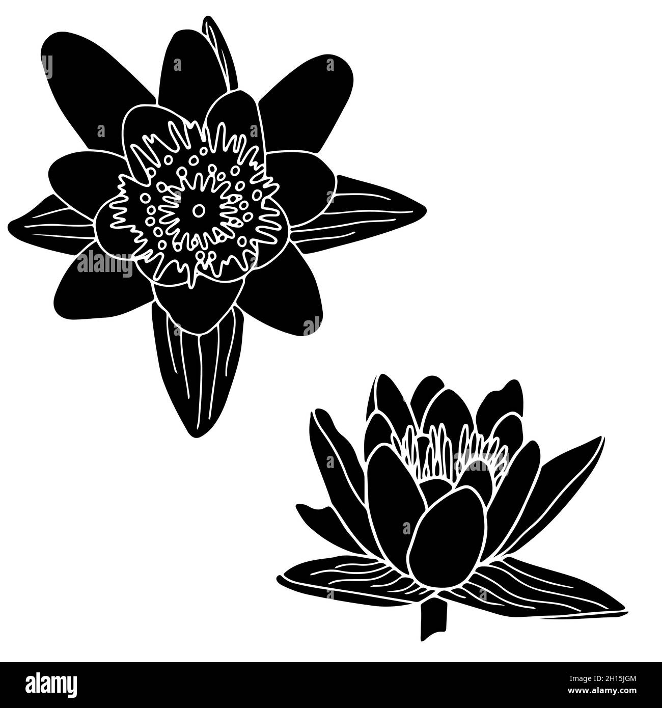 Ensemble de silhouette de fleur de nénuphars.Isoalted sur fond blanc. Illustration de Vecteur