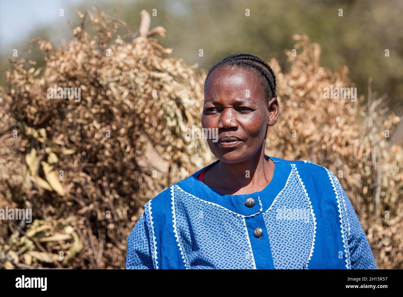 Portrait d'une ancienne femme africaine dans un village du Botswana dans la cour à côté de la clôture Banque D'Images