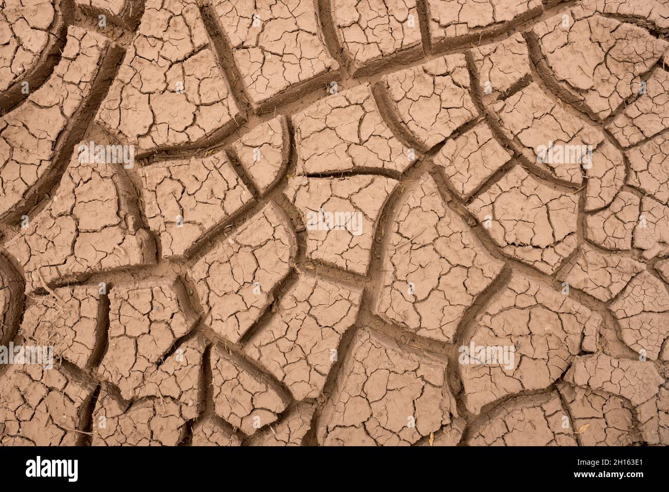 Fissures superficielles et profondes dans la boue épaisse par le dessus Banque D'Images