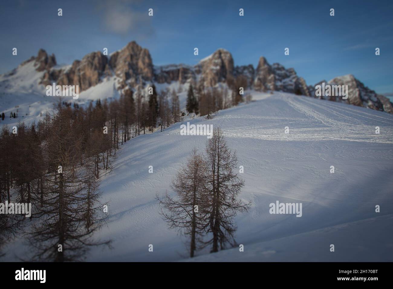 Effet d'inclinaison de la pente enneigée avec mélèze et pistes de ski Banque D'Images