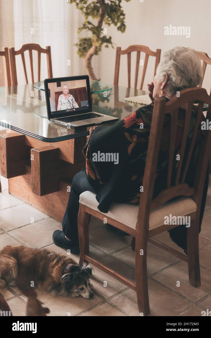Vue arrière d'une femme âgée méconnue avec de courts cheveux gris assis sur une chaise et écoutant Au revoir de la sœur tout en passant un appel vidéo via le netbook A. Banque D'Images