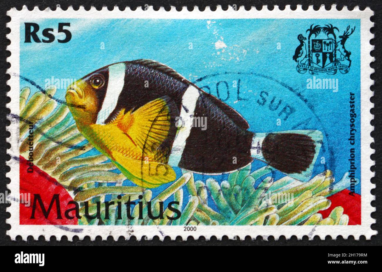 MAURICE - VERS 2000: Un timbre imprimé à Maurice montre l'anemonefish mauricien, amphiprion chrysogaster, est une espèce de poissons tropicaux marins, vers Banque D'Images